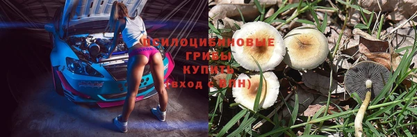 apvp Алексеевка