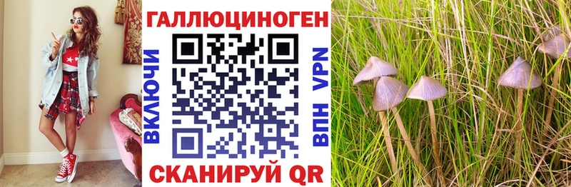 дарк нет какой сайт  Сясьстрой  Псилоцибиновые грибы мицелий 